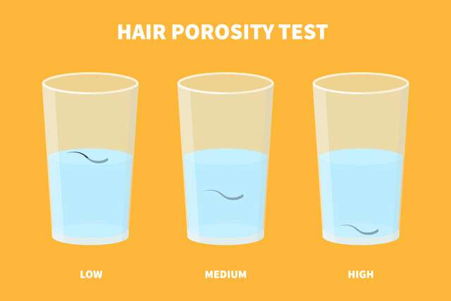 DIY Porosity Tests and At-Home Remedies - OrganiGrowHairCo