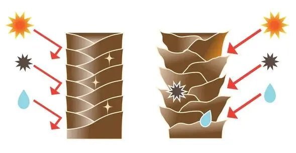 What is the rarest hair porosity? - OrganiGrowHairCo