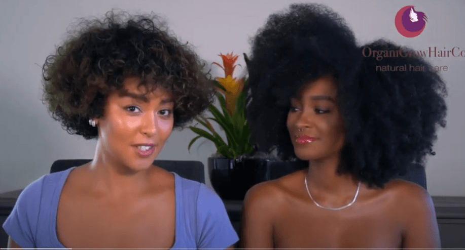 6 HAIRSTYLES ALL HAIR CAN DO FROM 4C TO 2A TEXTURE - OrganiGrowHairCo