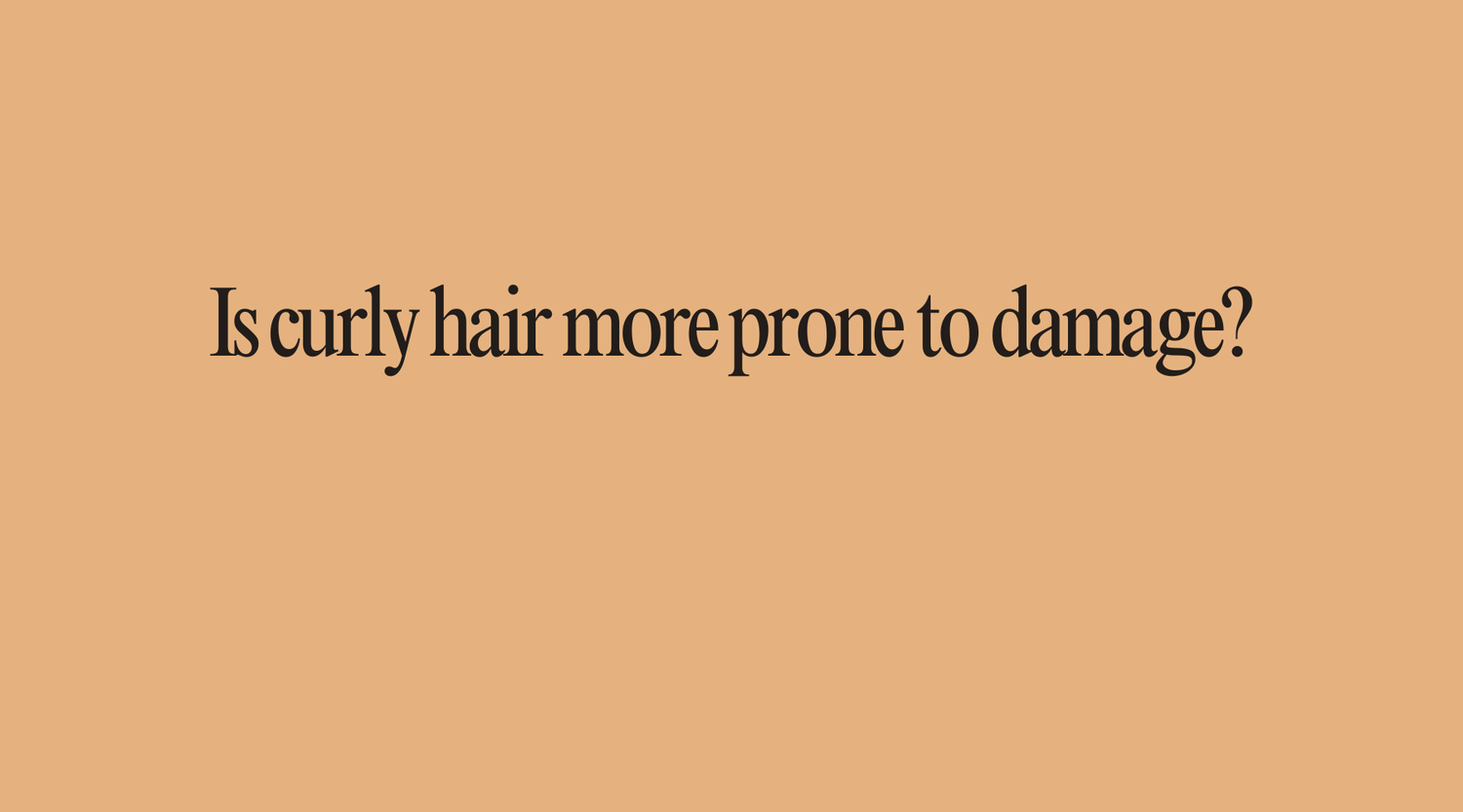 Is curly hair more prone to damage? - OrganiGrowHairCo
