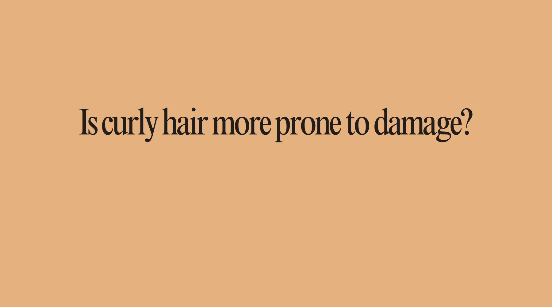 Is curly hair more prone to damage? - OrganiGrowHairCo