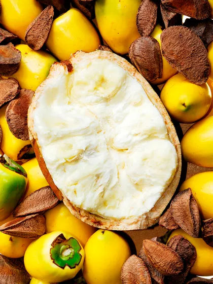 Unveiling the Incredible Benefits of Cupuaçu Butter for Natural Hair