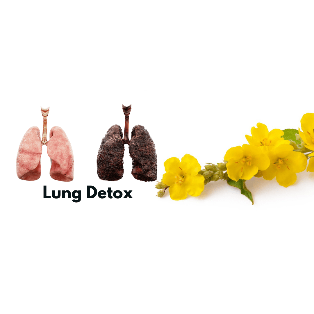 Breathe Free Lung Cleanse & Detox - OrganiGrowHairCo