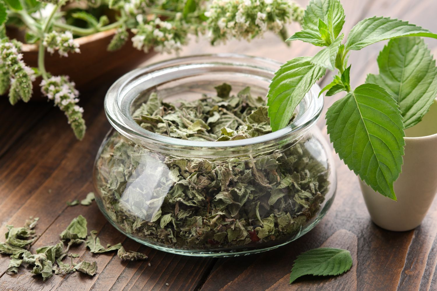 Peppermint Dried Leaf - OrganiGrowHairCo