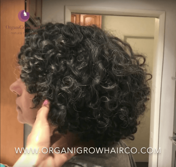 From Dry Fro to Wash N' Go - OrganiGrowHairCo