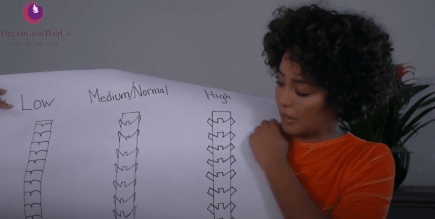HOW POROSITY HELPS YOU PICK PRODUCTS - OrganiGrowHairCo