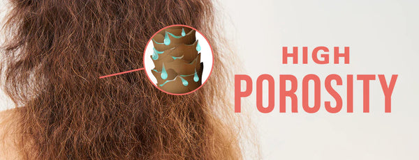 High Porosity Hair Care