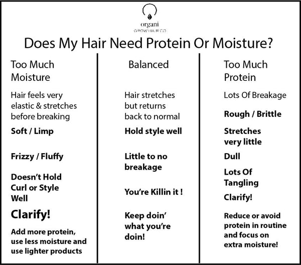 Does My Hair Need Protein Or Moisture?