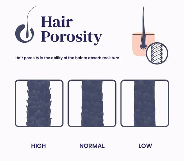What are signs of high porosity hair? - OrganiGrowHairCo