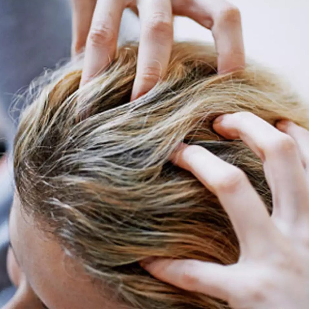 What can you put in your hair to absorb oil? - OrganiGrowHairCo