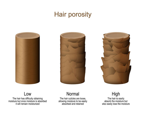 Which hair porosity is the best? - OrganiGrowHairCo