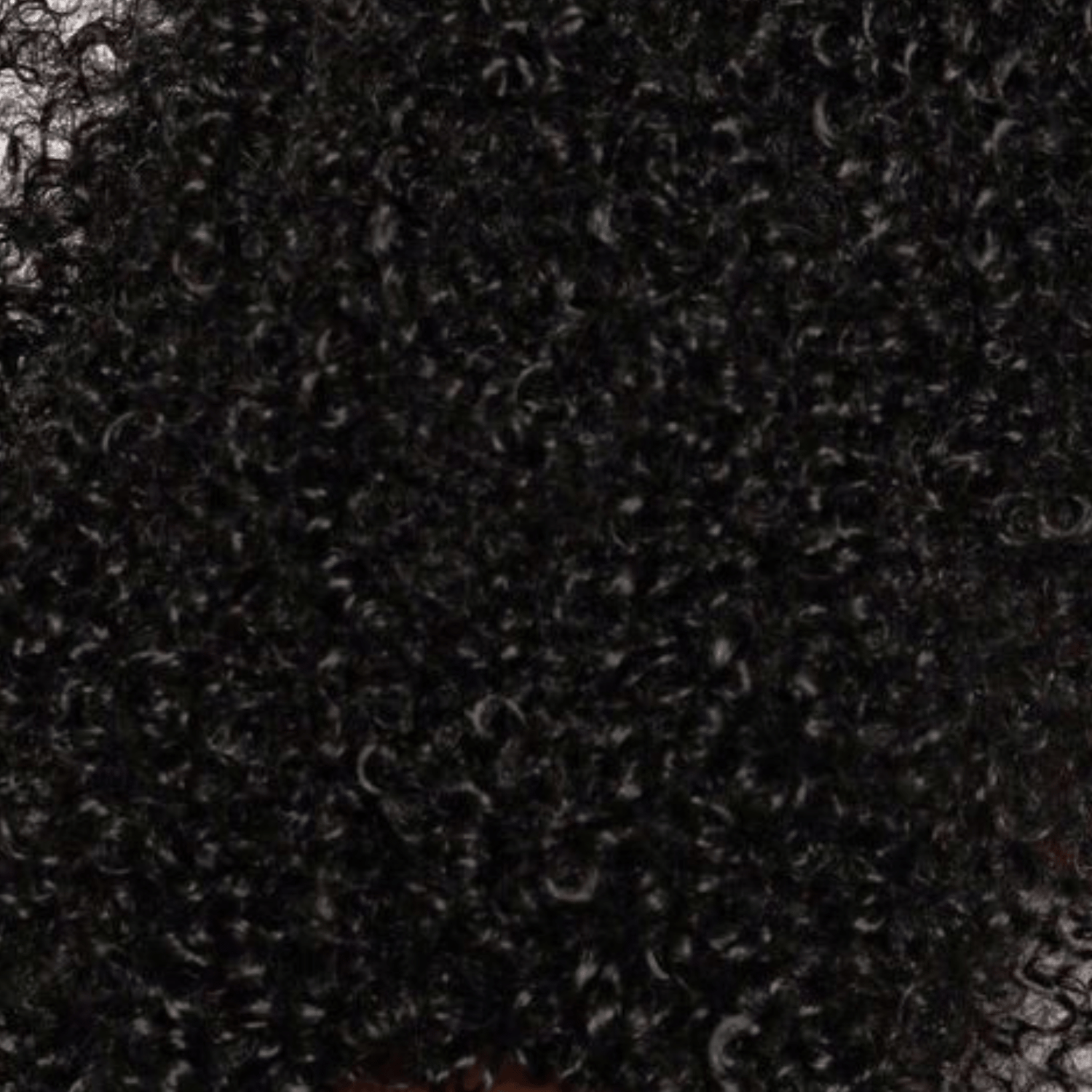 Coily Hair - OrganiGrowHairCo