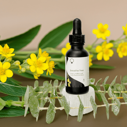 Breathe Free Lung Cleanse &amp; Detox Lung &amp; Respiratory Support OrganiGoLife