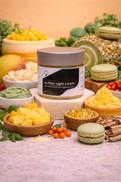 No Filter Night Cream SKIN/BODY OrganiBrand Bodycare