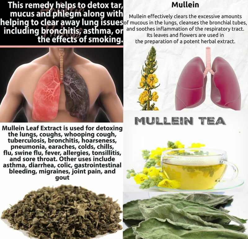 No evidence mullein leaf fights asthma or detoxes lungs - Africa Check