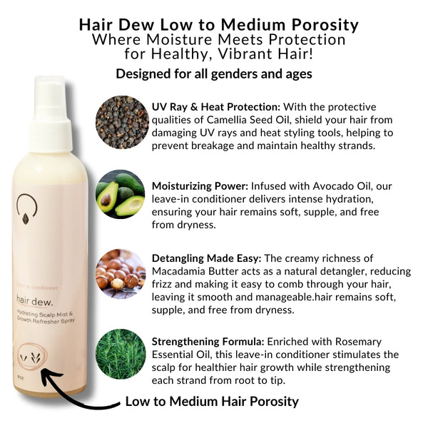 Hair Dew - Low Porosity Leave In